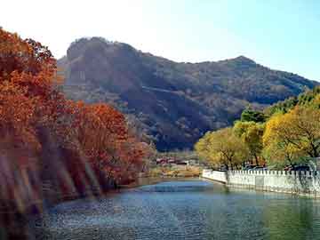 澳门二四六天天彩图库，天师钟馗2